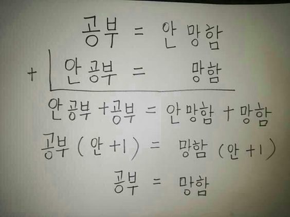 공부 안망함 안공부 망함 결론은 망함 인생