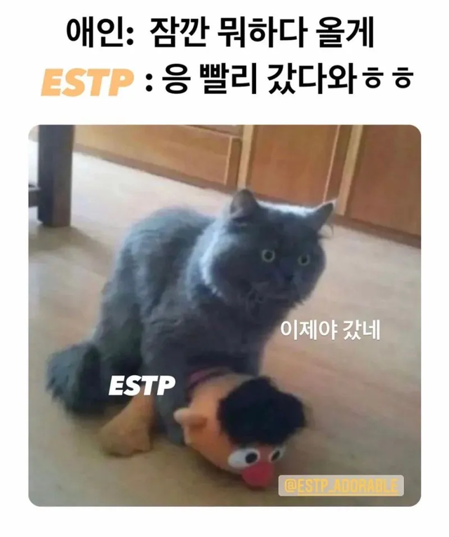 ESTP MBTI 성격 유형 취향 mbti짤 mbti짤방 mbti타입