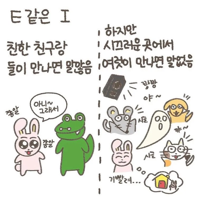 ISFJ MBTI 성격 유형 취향 mbti짤 mbti짤방 mbti타입