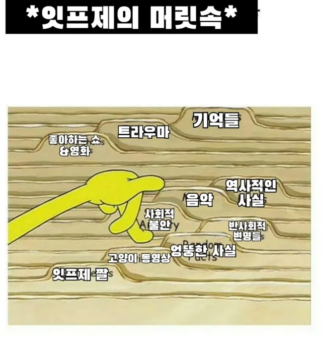 ISFJ MBTI 성격 유형 취향 mbti짤 mbti짤방 mbti타입