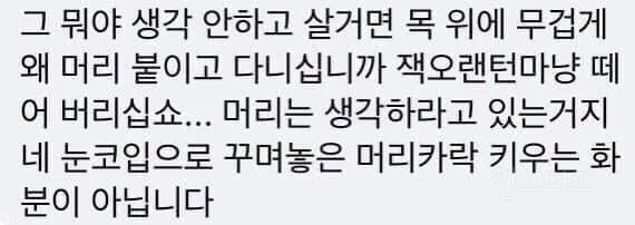 ENTJ MBTI 성격 유형 취향 mbti짤 mbti짤방 mbti타입