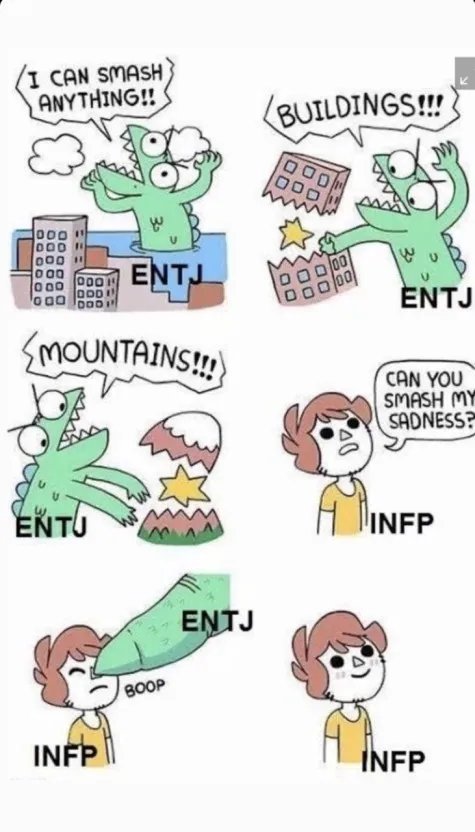 ENTJ MBTI 성격 유형 취향 mbti짤 mbti짤방 mbti타입