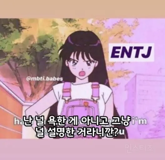 ENTJ MBTI 성격 유형 취향 mbti짤 mbti짤방 mbti타입