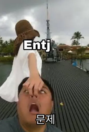 ENTJ MBTI 성격 유형 취향 mbti짤 mbti짤방 mbti타입