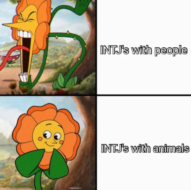 INTJ MBTI 성격 유형 취향 mbti짤 mbti짤방 mbti타입