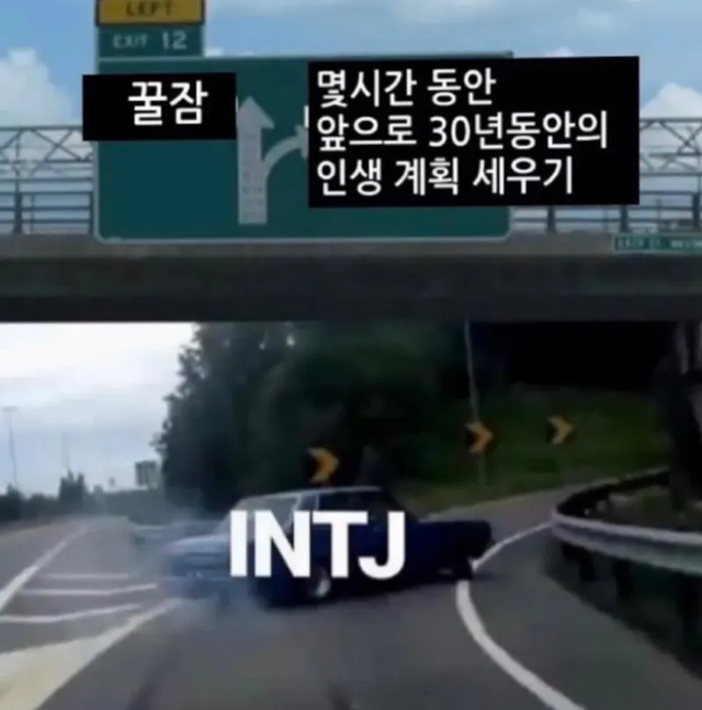 INTJ MBTI 성격 유형 취향 mbti짤 mbti짤방 mbti타입