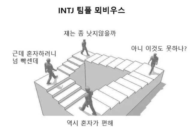 INTJ MBTI 성격 유형 취향 mbti짤 mbti짤방 mbti타입