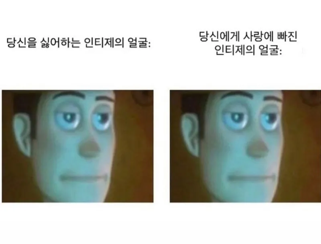 INTJ MBTI 성격 유형 취향 mbti짤 mbti짤방 mbti타입