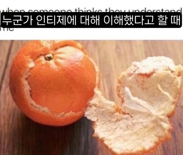 INTJ MBTI 성격 유형 취향 mbti짤 mbti짤방 mbti타입