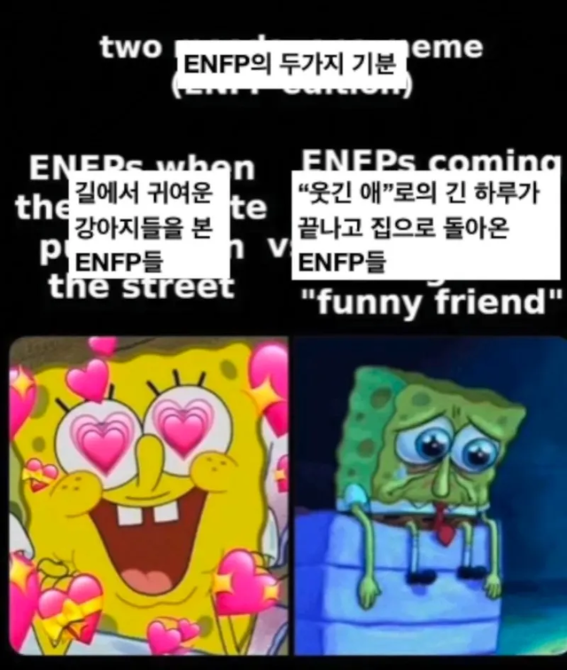 ENFP MBTI 성격 유형 취향 mbti짤 mbti짤방 mbti타입