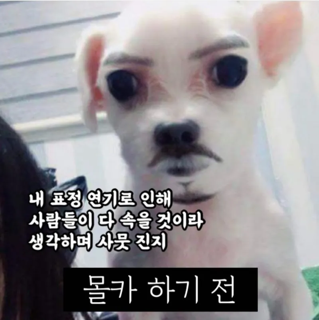 MBTI ENFP 성격 유형 취향 mbti짤 mbti짤방 mbti타입