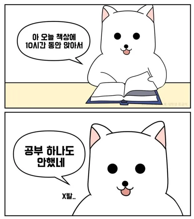 ENFP MBTI 성격 유형 취향 mbti짤 mbti짤방 mbti타입