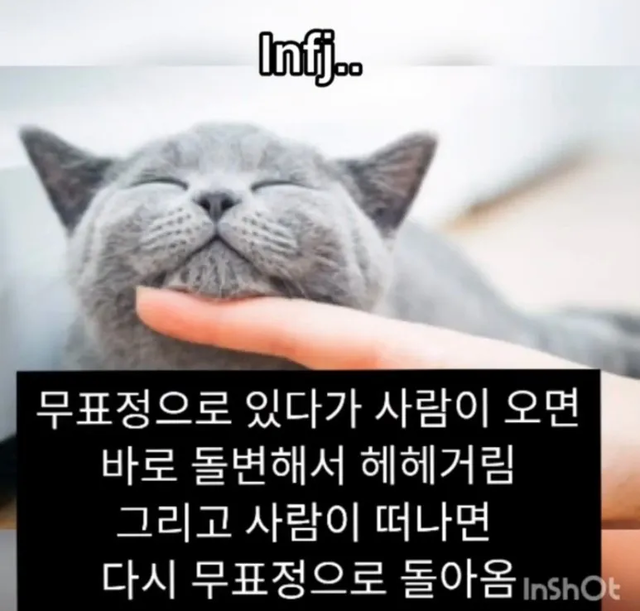 INFJ MBTI 성격 유형 취향 mbti짤 mbti짤방 mbti타입