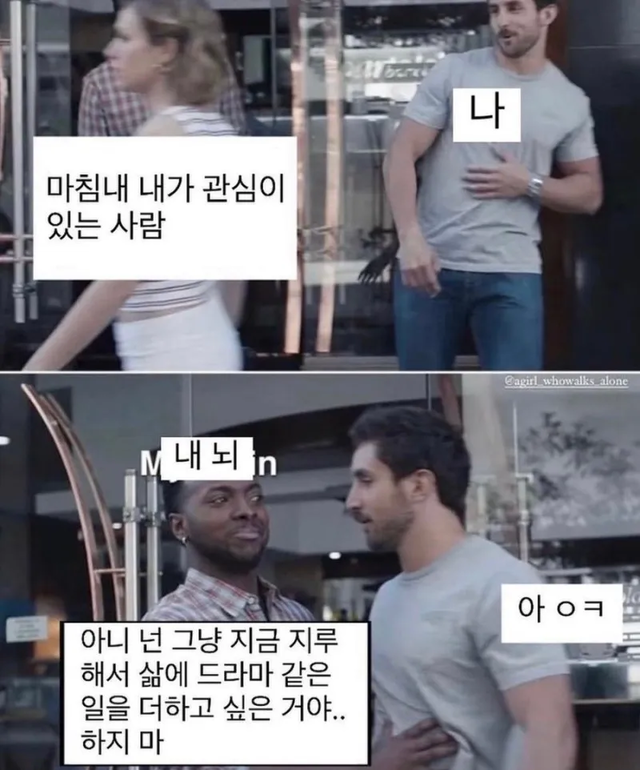 INTP #MBTI 성격 유형 취향 mbti짤 mbti짤방 mbti타입