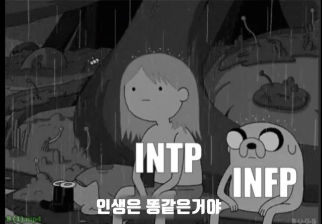 INTP INFP MBTI 성격 유형 취향 mbti짤 mbti짤방 mbti타입