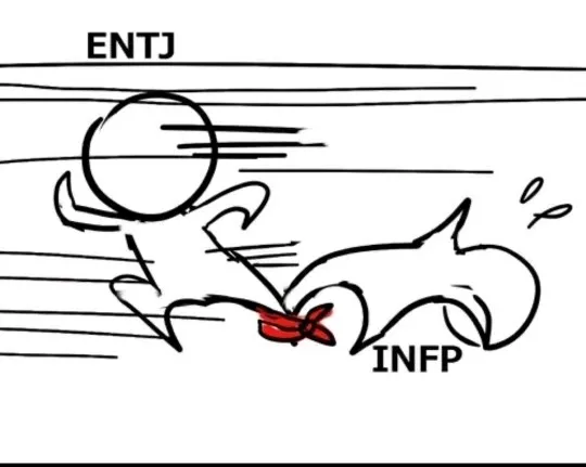 ENTJ INFP MBTI 성격 유형 취향 mbti짤 mbti짤방 mbti타입