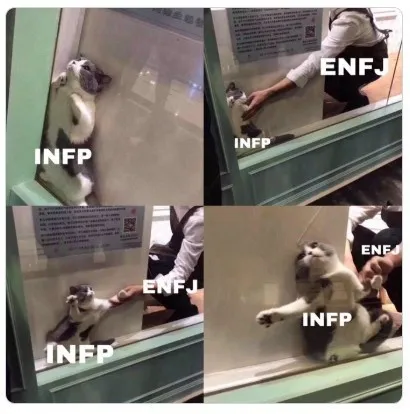 INFP ENFJ MBTI 성격 유형 취향 mbti짤 mbti짤방 mbti타입