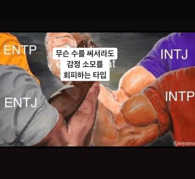 ENTP ENTJ INTJ INTP MBTI 성격 유형 취향 mbti짤 mbti짤방 mbti타입