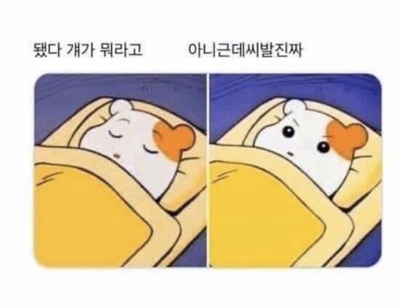 됐다 걔가 뭐라고 아니근데씨발진짜 아니근데 ㅅㅂ ㅆㅂ 벌떡 생각 갑자기