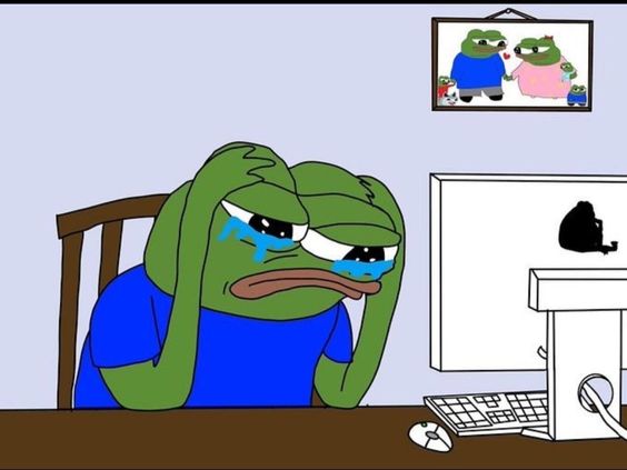 모니터 보면서 눈물 흘리는 슬개짤 슬픈개구리