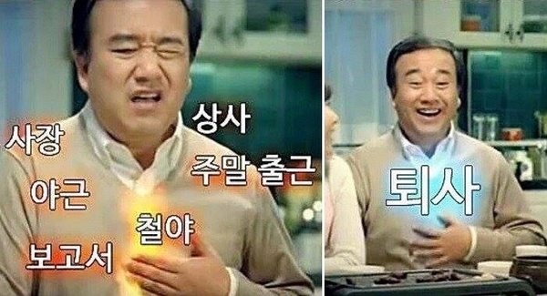 퇴사 사직서 회사 상사 사장 야근 철야 출근 자유 개비스콘