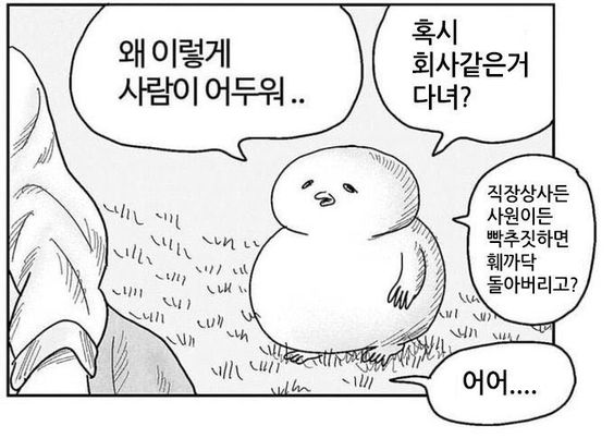 왜이렇게 사람이 어두워 혹시 회사같은거 다녀 직장 퇴사 사직