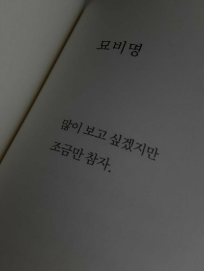 묘비명 많이 보고 싶겠지만 조금만 참자