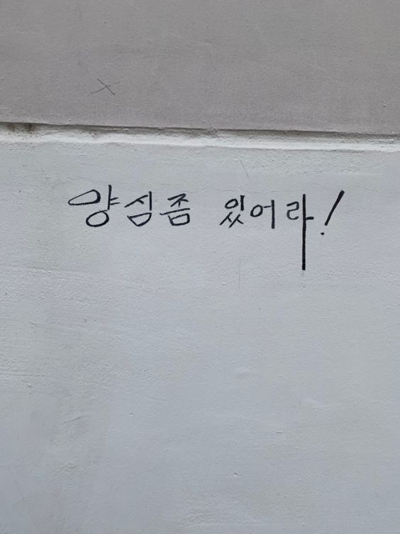 양심좀 있어라 양심챙겨