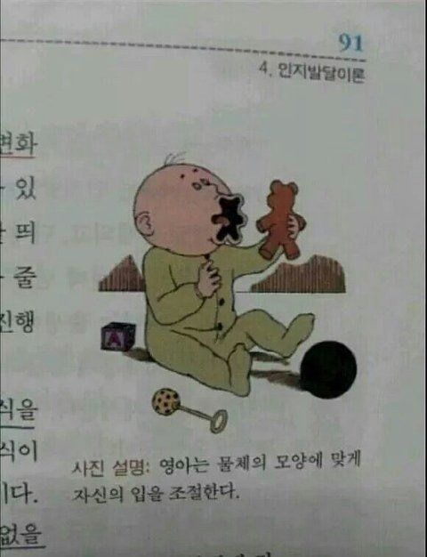 영아는 물체의 모양에 맞게 자신의 입을 조절한다