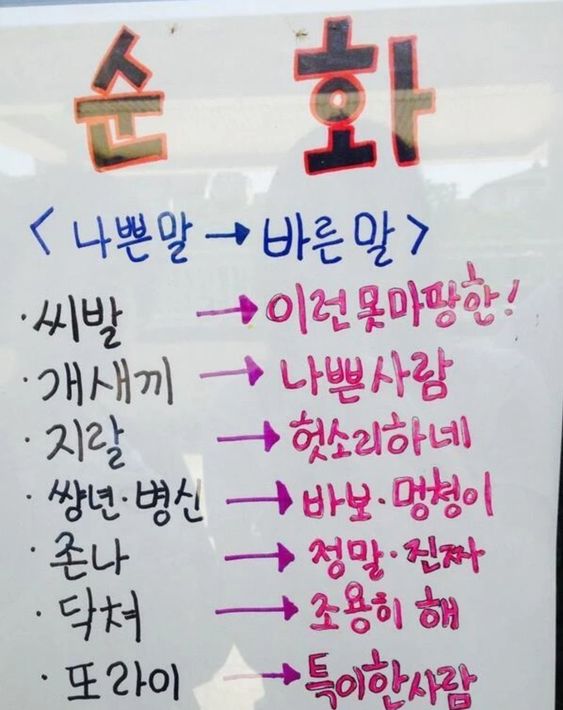 순화 나쁜말 바른말 병맛 이런못마땅한 나쁜사람 헛소리하네 정말 특이한사람