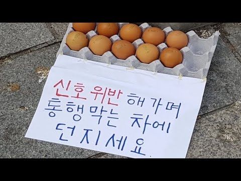신호위반 통행막는 차에 던지세요 계란 달걀