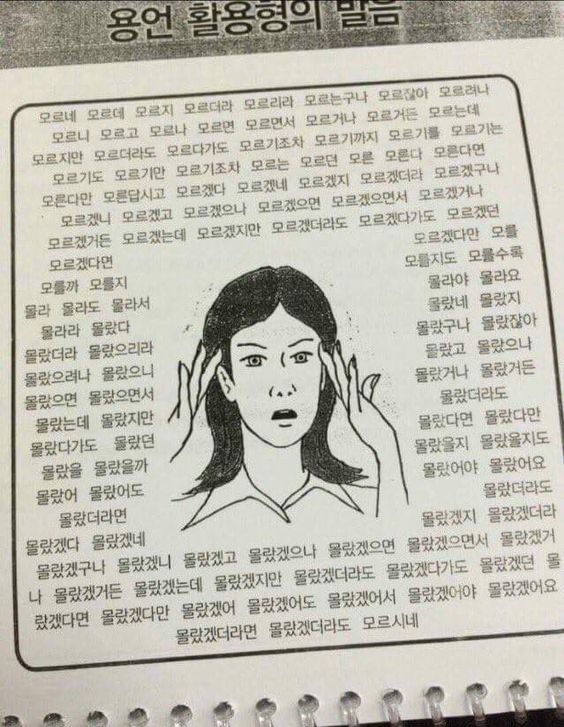 한국어 모르네 모르지 모르더라 멘붕 어려운 한국말