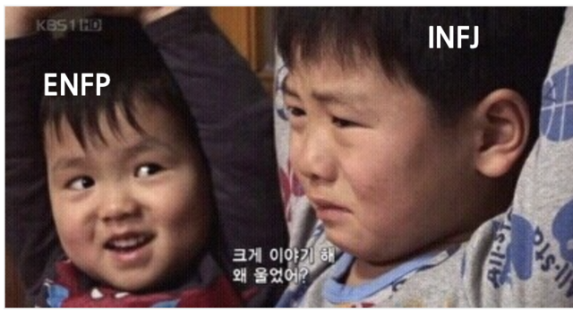 enfp infj mbti