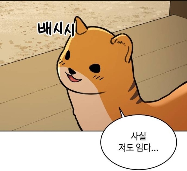 나도야 사실 저도 임다 귀여움 배시시 흐뭇 호랑이 들어와요