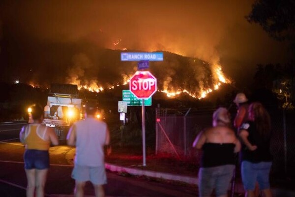 불구경 코인 안하는 사람들 주식 떡상 떡락 상한가 하한가