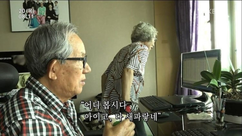 새파랗네 어디 봅시다 주식 떡상 떡락 상한가 하한가