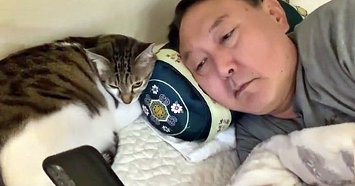윤석열 고양이 집에서 침대 누워서 핸드폰 윤쩍벌 윤도리 윤짜장