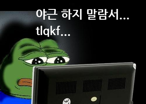 프로그래머 직장인 야근 tlqkf