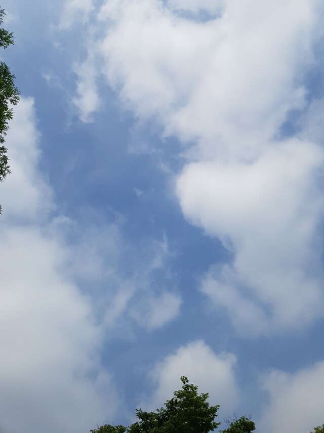 하늘 배경 배사 자연 파랑 구름