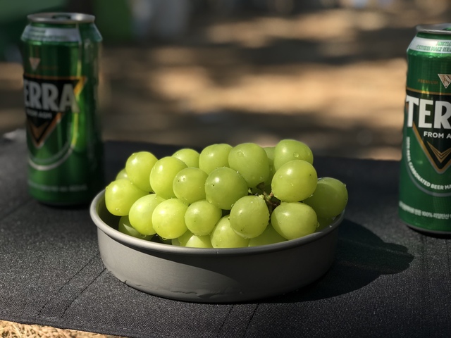 포도 맥주 테라 terra