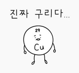 진짜 구리다 싫어 싫다 후지다