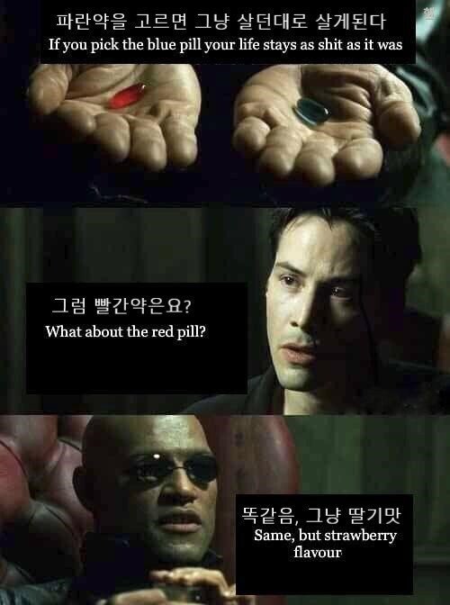 매트릭스 빨간약 파란약 딸기맛 