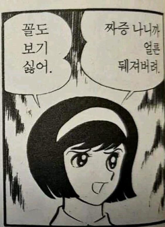 꼴도 보기 싫어 짜증 나니까 얼른 뒈져버려