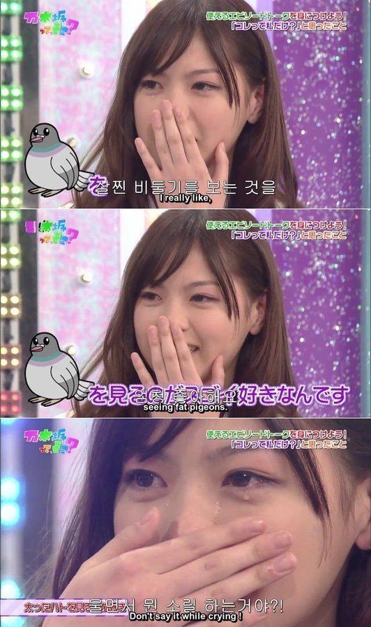 일본 여자 방송 살찐 비둘기 좋아해요 울면서 눈물 뭔소릴 하는거야