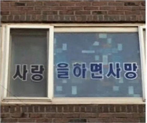 사랑을 하면 사망 사랑 간판