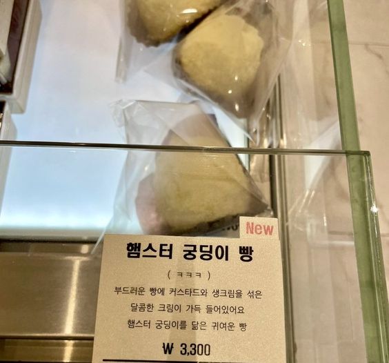 햄스터 궁딩이 빵 부드러운 빵에 커스타드와 생크림 달콤한 크림 귀여운