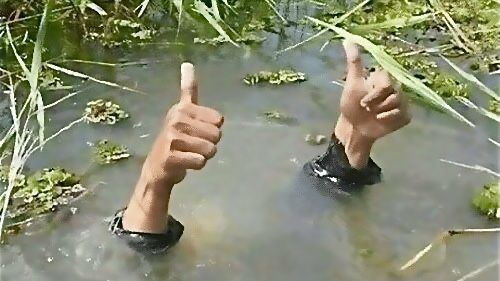 엄지척 쌍따봉 좋아 잘했어 물속 칭찬