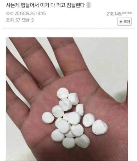 과자 마시멜로 구라 거짓말 사는게 힘들어서 약 먹고 잠들련다