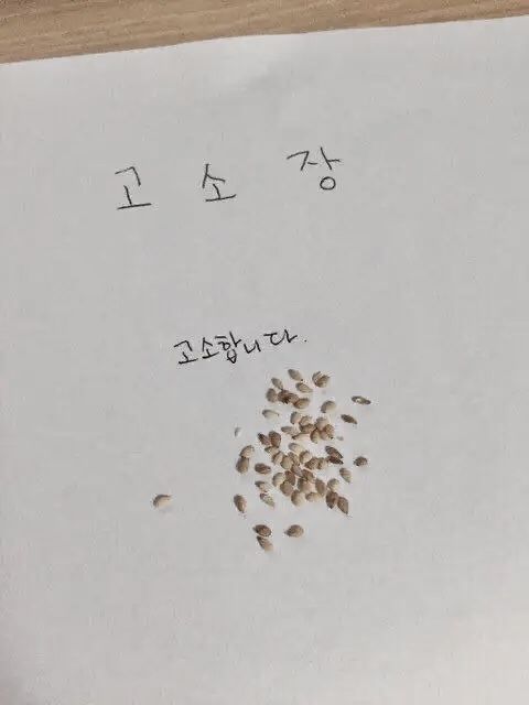 고소장 고소합니다 참깨