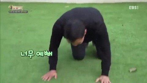 강형욱 강아지 너무 예뻐 두발로 기어서 개됨 개라고 생각해요